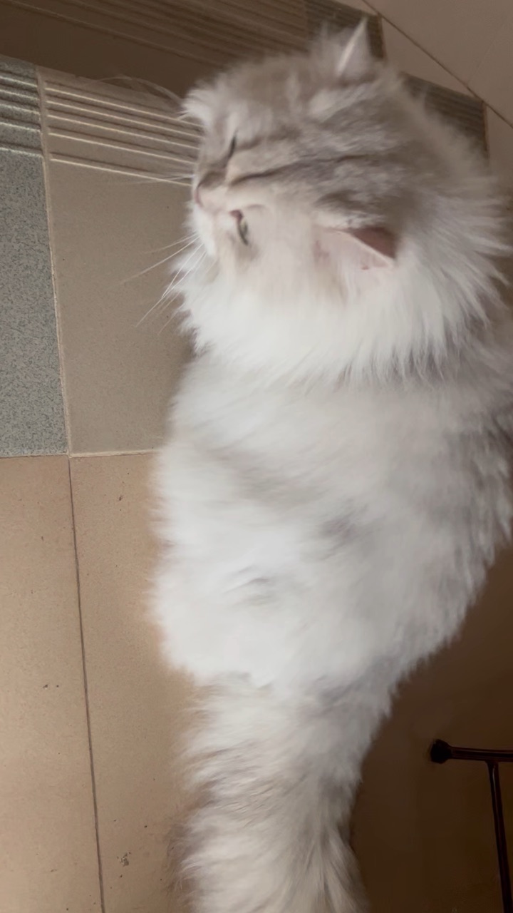 又是回去老家不想来城里的一次。