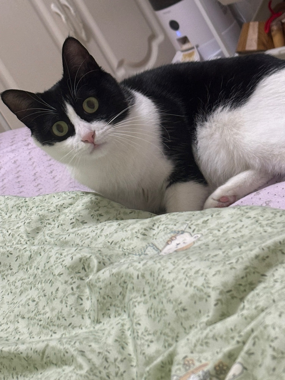 哈哈  ᖰ⌯'▾'⌯ᖳ~(＾◇^)/( ´ ▽ ` )ノ~(＾◇^)/