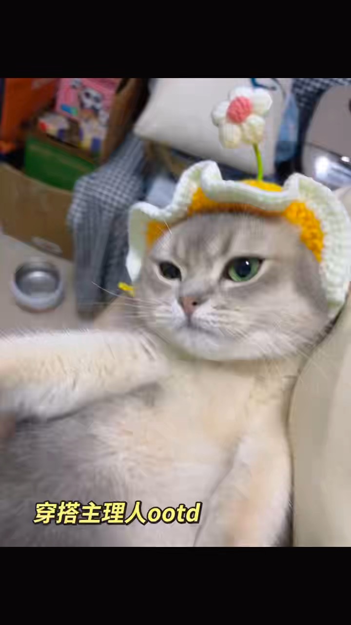 多宝当一天主理咪