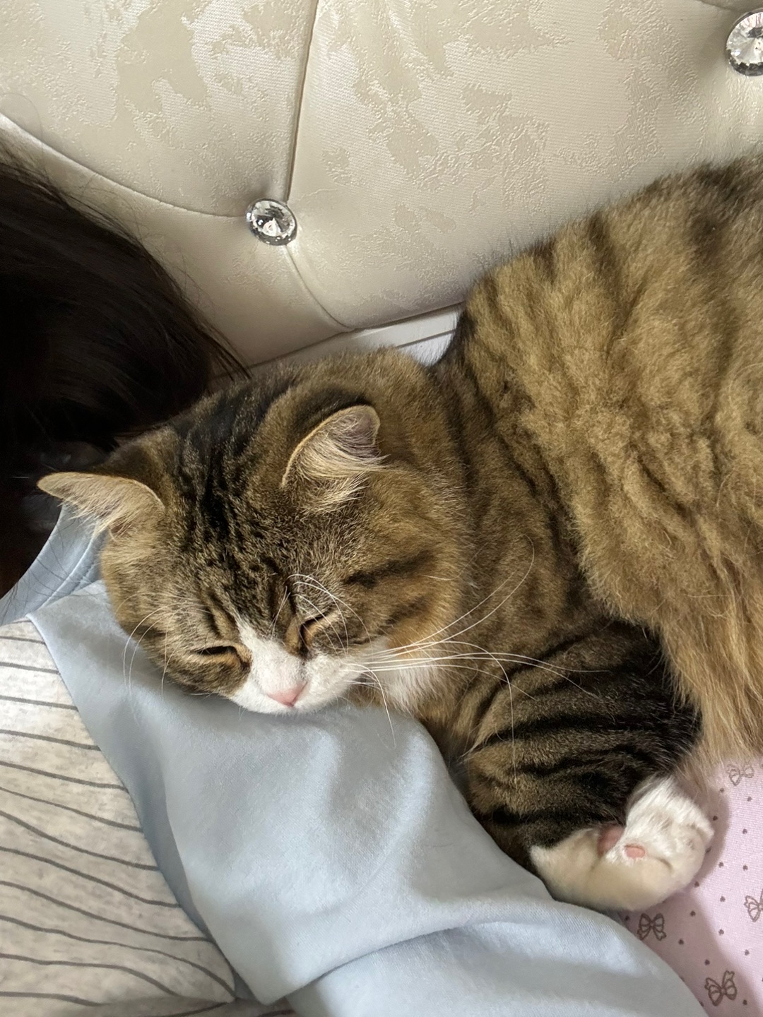 哈哈  ᖰ⌯'▾'⌯ᖳ~(＾◇^)/( ´ ▽ ` )ノ~(＾◇^)/