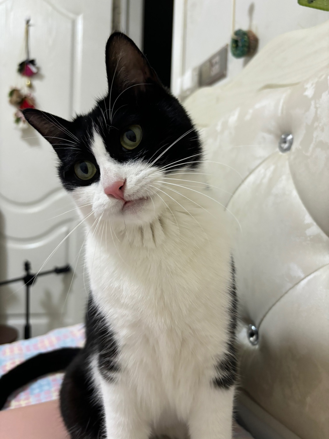 哈哈  ᖰ⌯'▾'⌯ᖳ~(＾◇^)/( ´ ▽ ` )ノ~(＾◇^)/