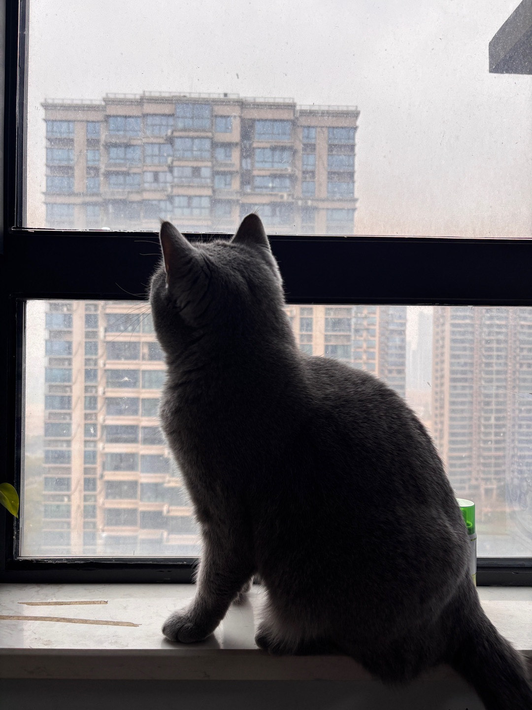 对外面世界的好奇