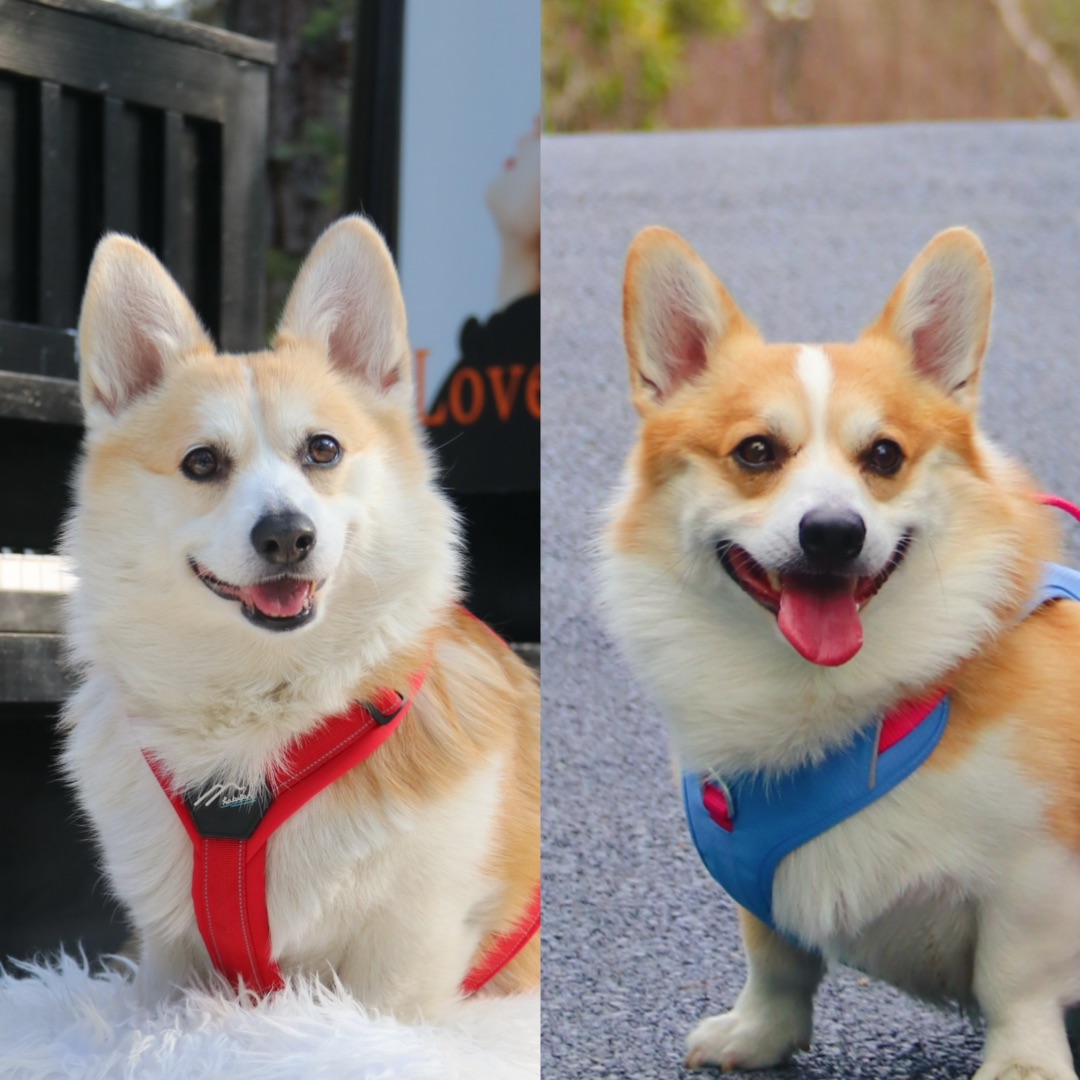 母子感情又提升了