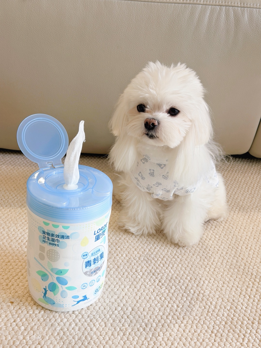 🧼养宠人无限回购！里兜青刺果宠物湿巾太香了