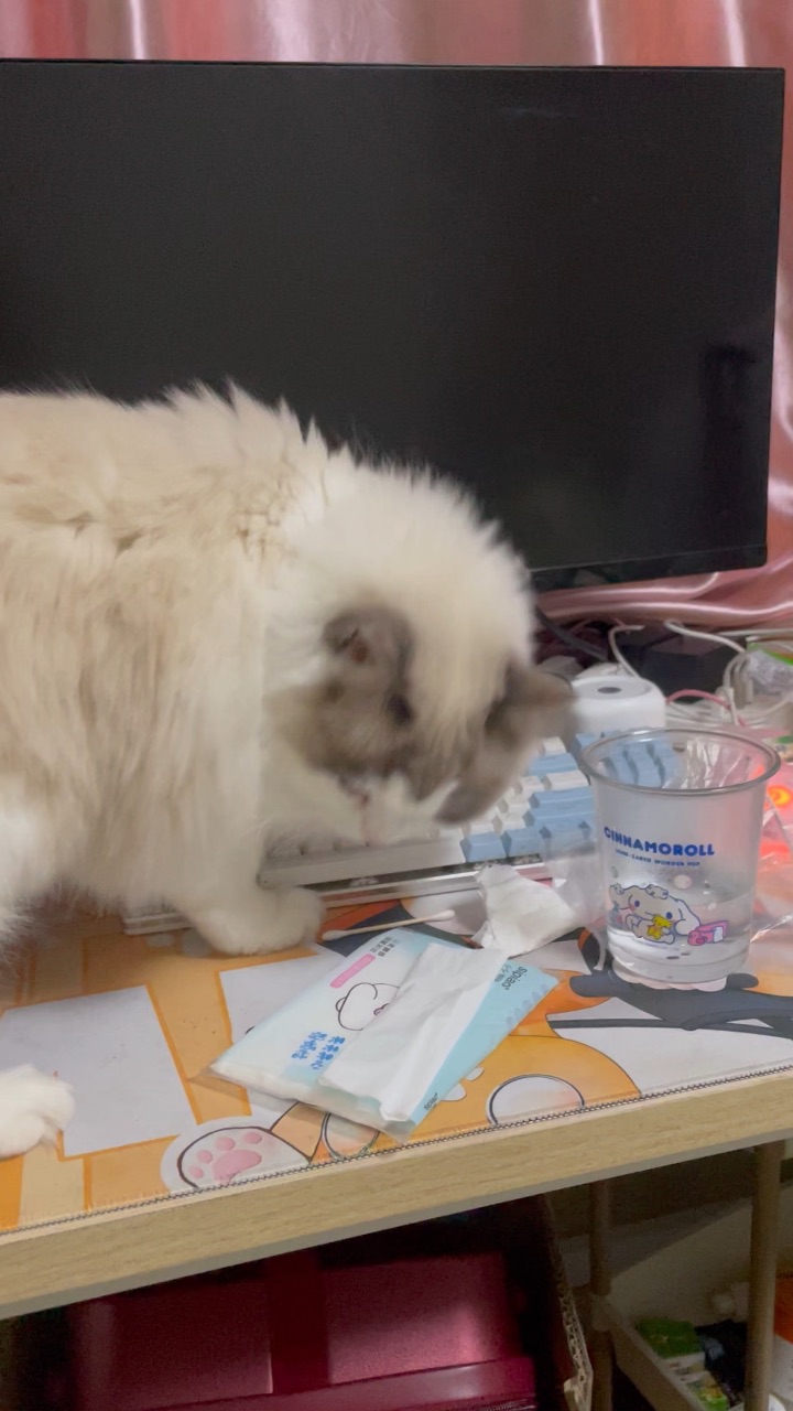 哈哈哈哈哈哈哈哈我笑到头星冰乐好可爱 哈哈哈哈哈哈爱你爱你😘