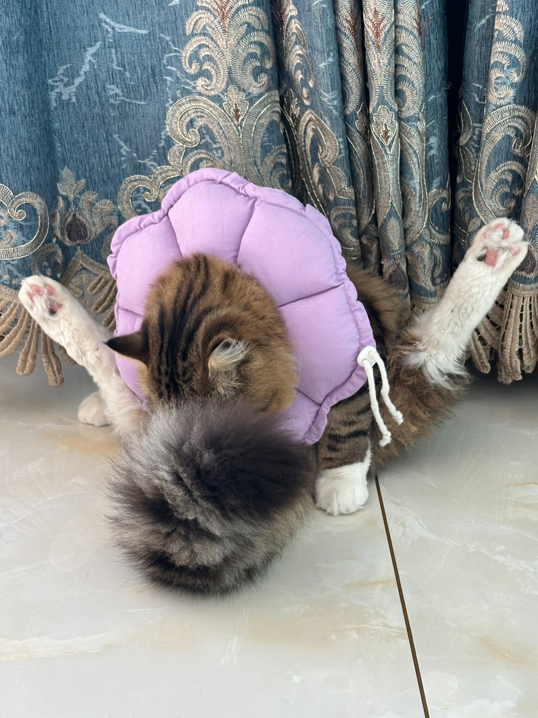 哈哈(*´・ｖ・)(^-^)/(^_^)ノ(^o^)／ヽ(^0^)ノ