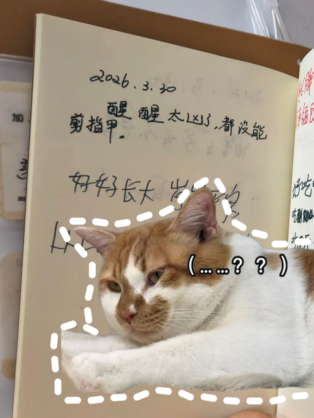 ……上班态度不好被批评了怎么办