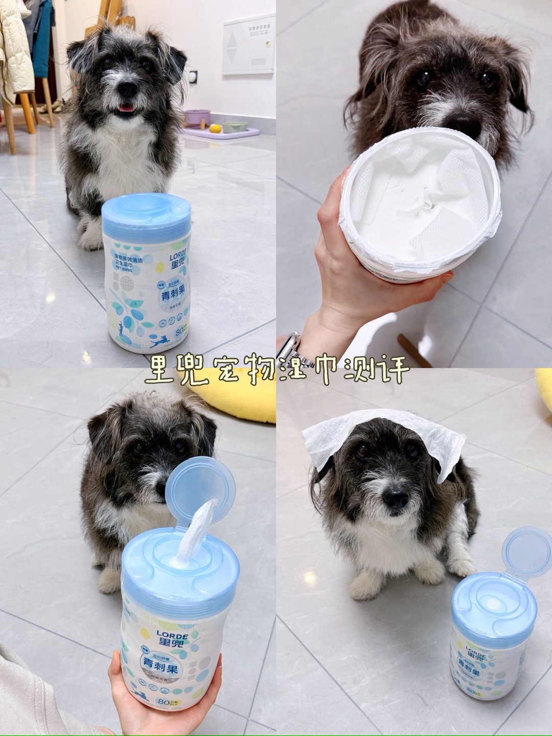 里兜宠物湿巾测评来咯！