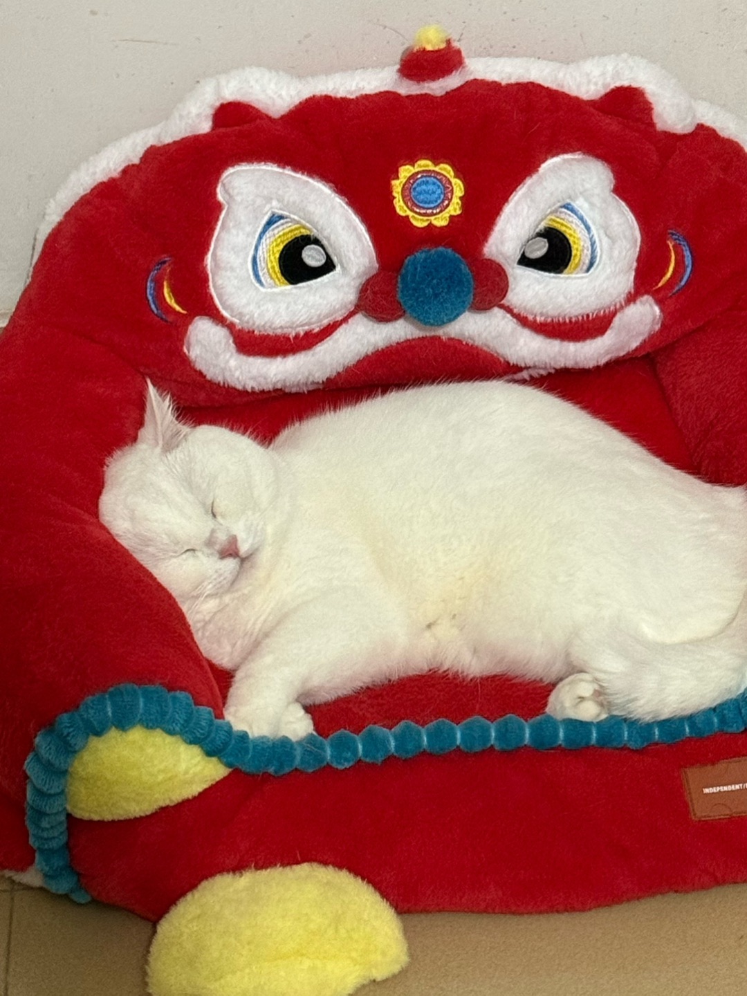 🐱元宝&皮皮的日常碎片✨