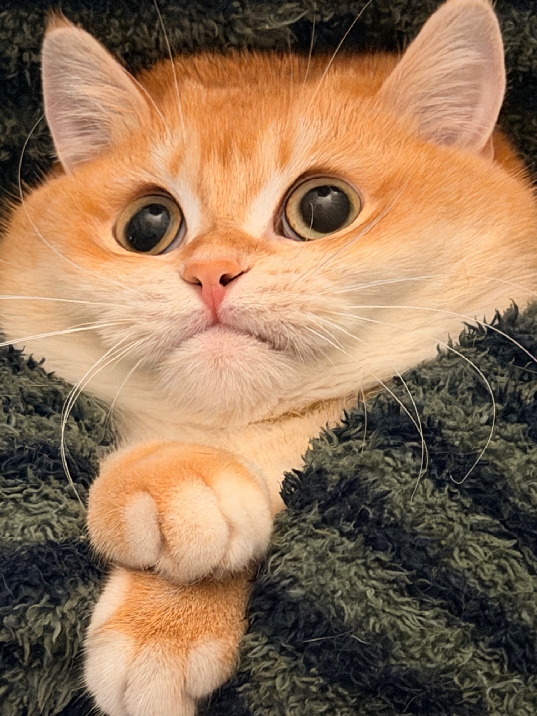 探出半个脑袋👀，确认一下麻麻还在不在