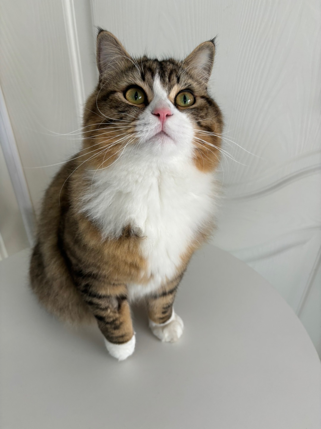 哈哈(*´・ｖ・)(^-^)/(^_^)ノ(^o^)／ヽ(^0^)ノ