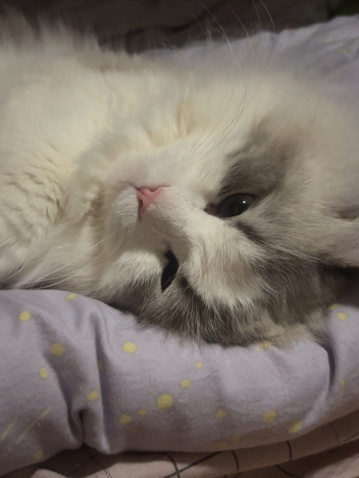 心里眼里都是我8