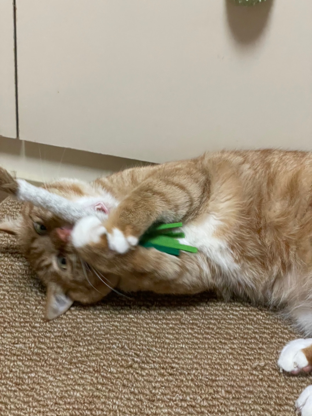 对一根葱上头了