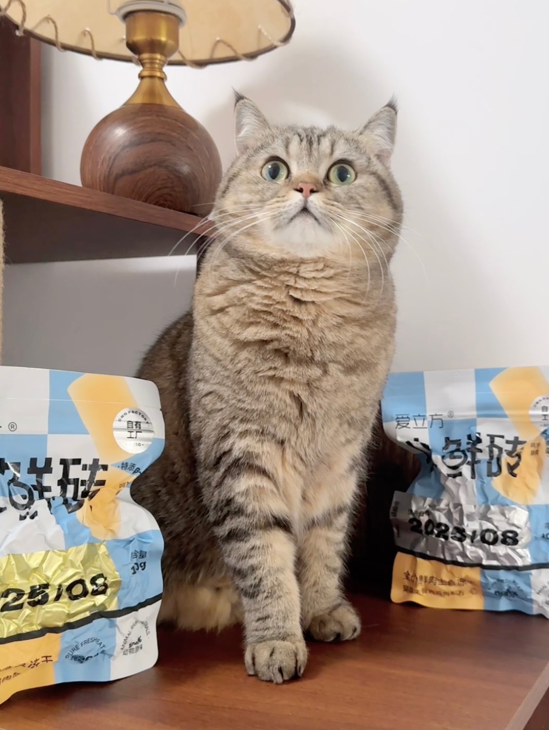 被三百这口“舔盘”表情拿捏了