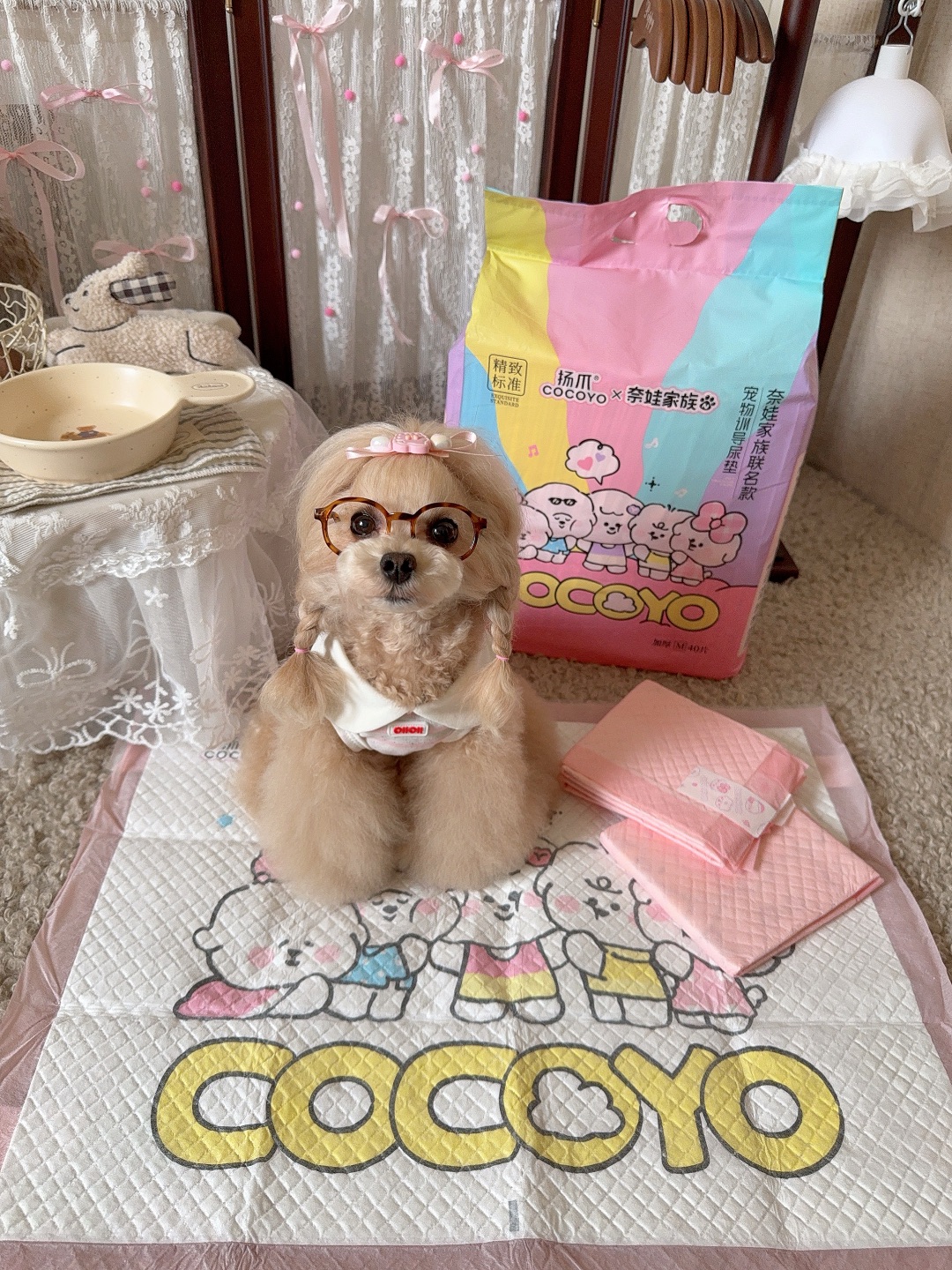 养那么久的狗才知道狗狗也有近视眼