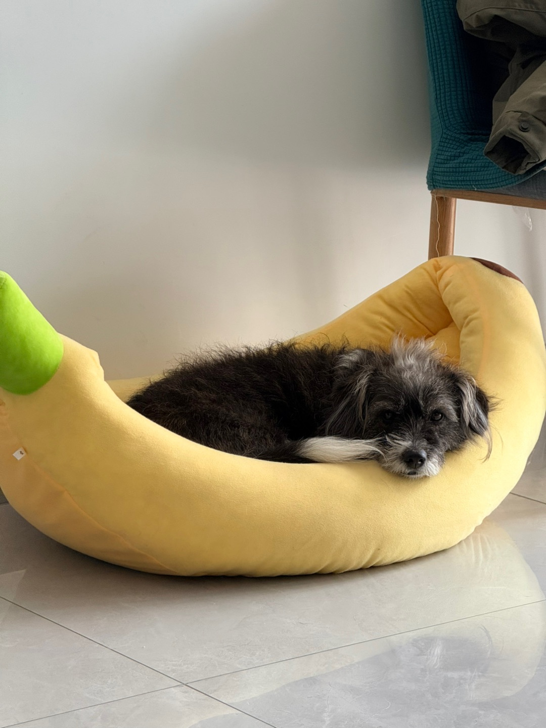 是真的非常喜欢香蕉床