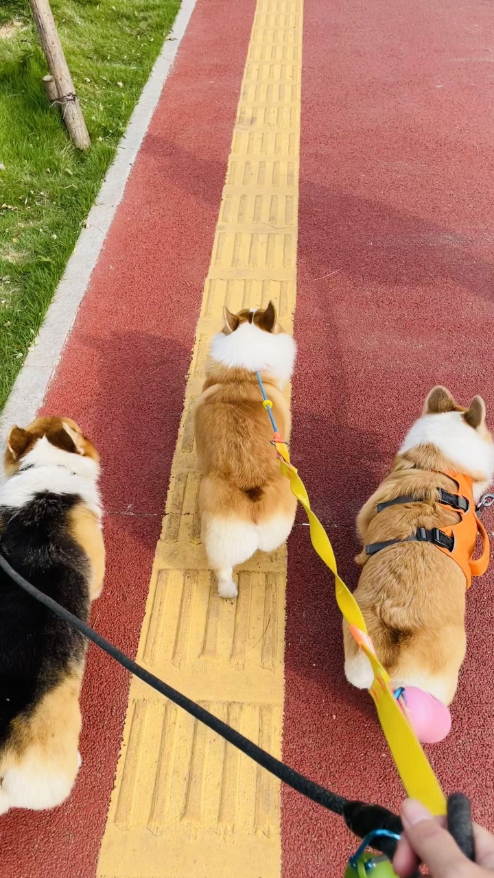 我看看谁不合群