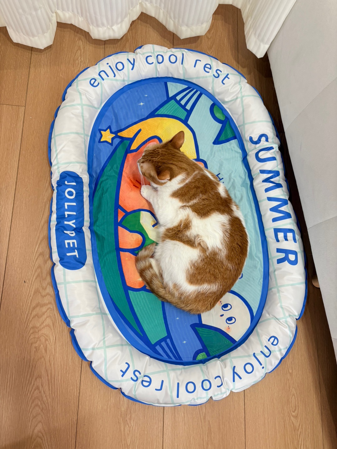 清凉的趴趴窝，好舒服