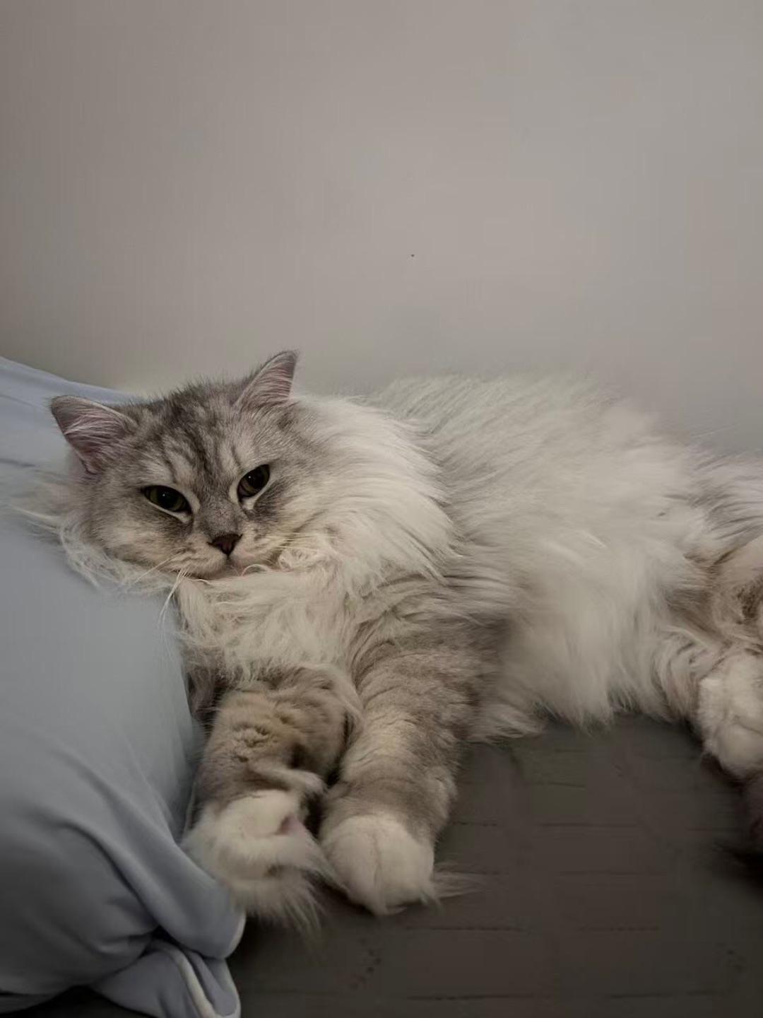 睡觉时间到！！