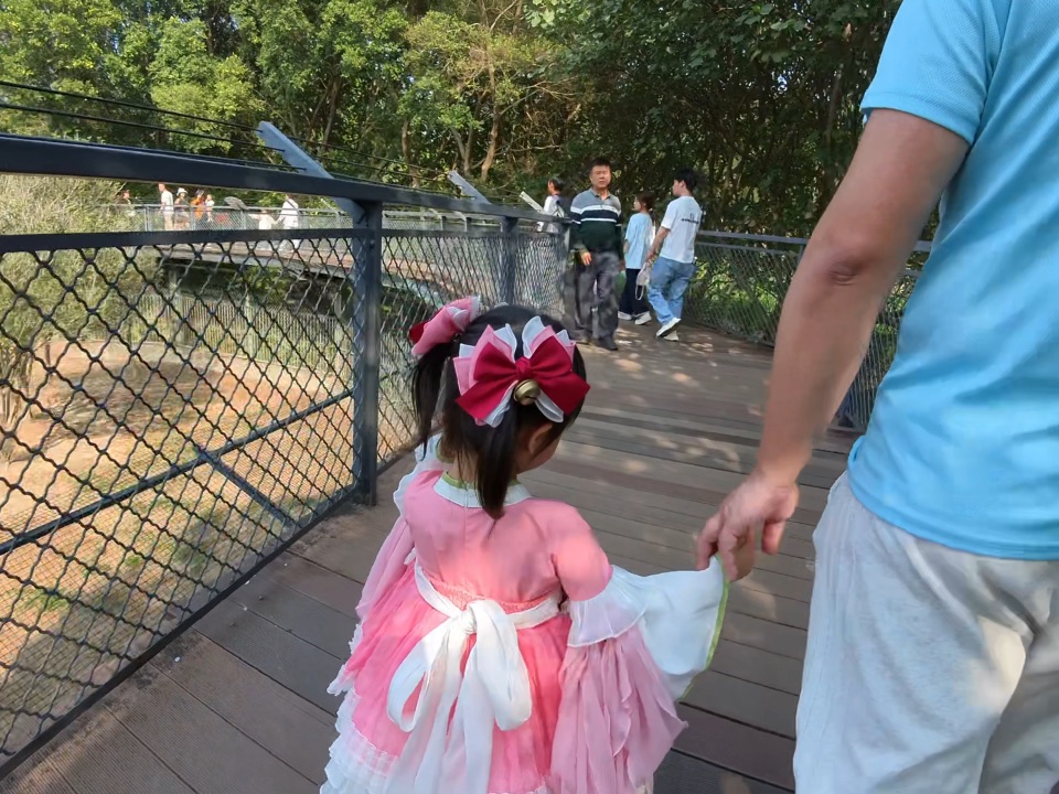 多美｜狐妖小红娘