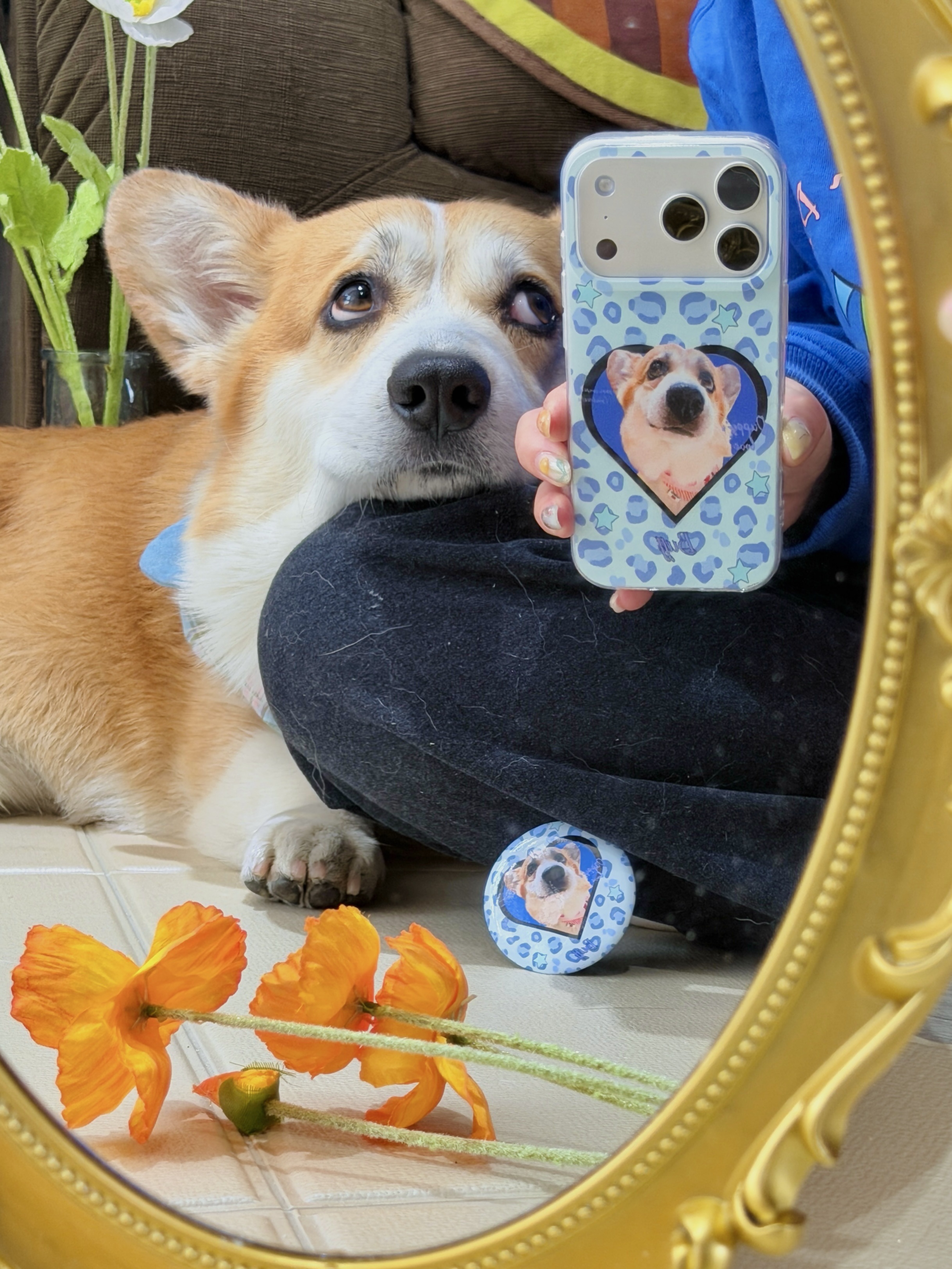 当我拿了面镜子准备拍小狗🪞才发现…