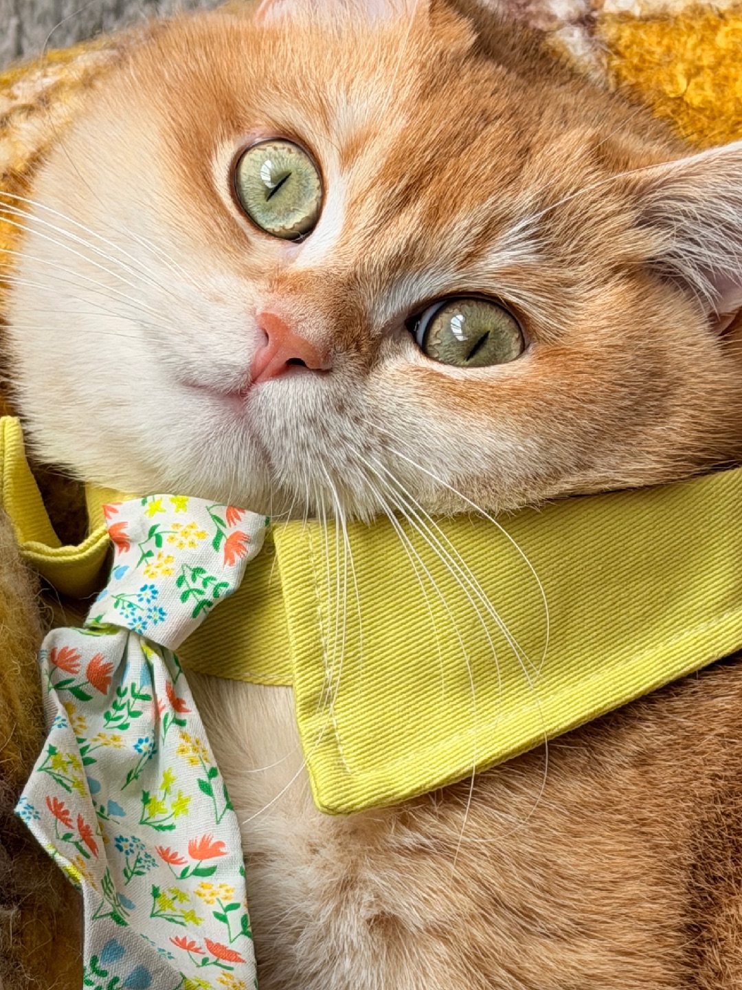 🌸 🍃 把春天戴在脖子上是什么感觉？