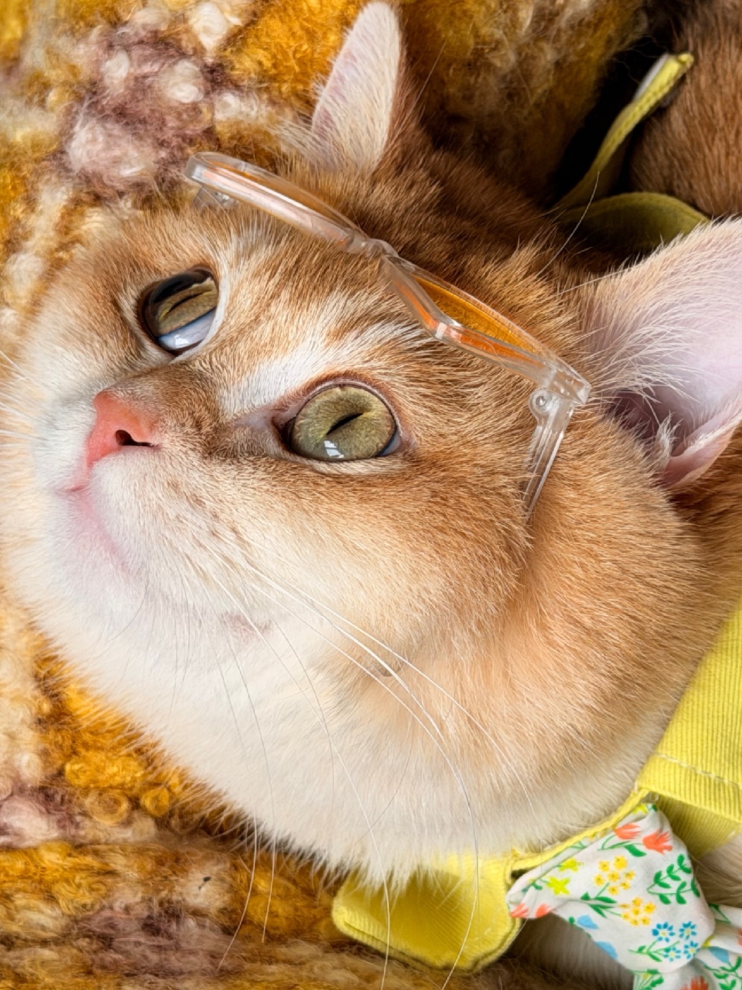 💐 以后你的春天，被我承包了！😻🌷