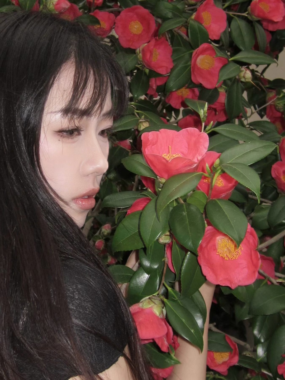 看起来会在南洋老宅和纨绔羸弱的公子哥虐恋