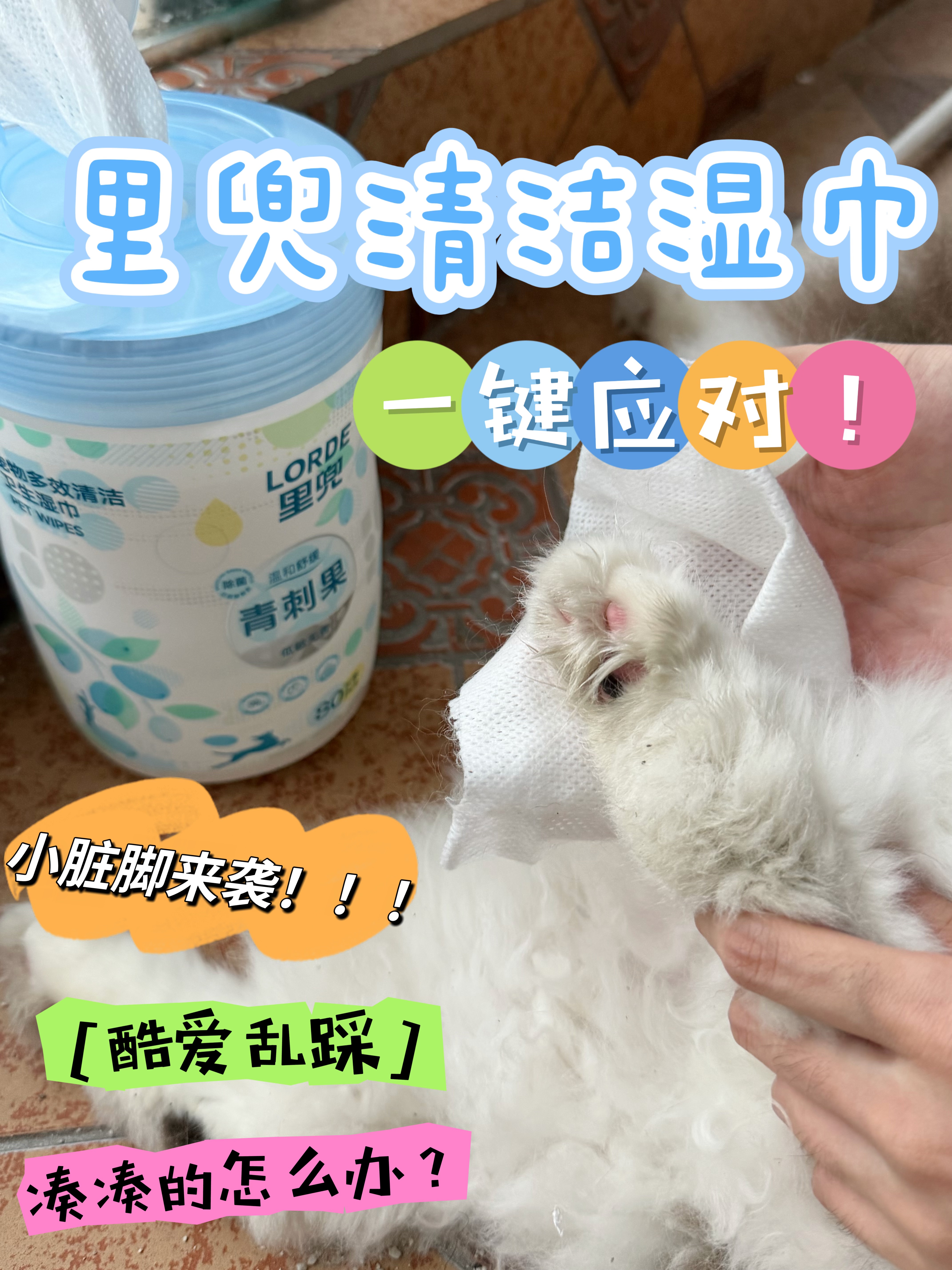 遛猫回家，必备里兜清洁湿巾