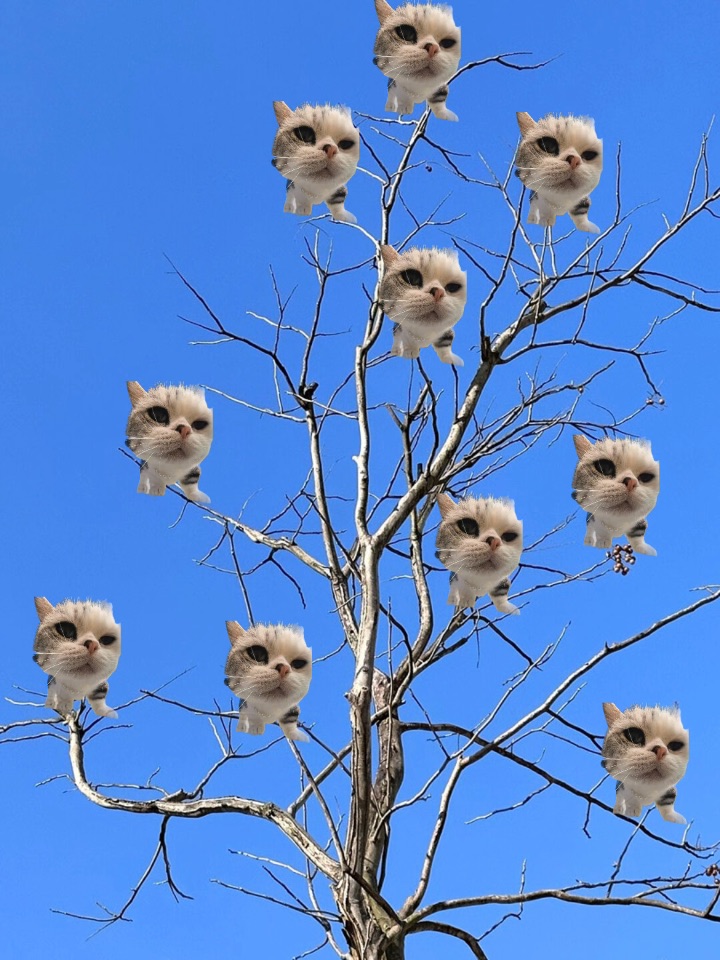 枯木逢春·窝窝版