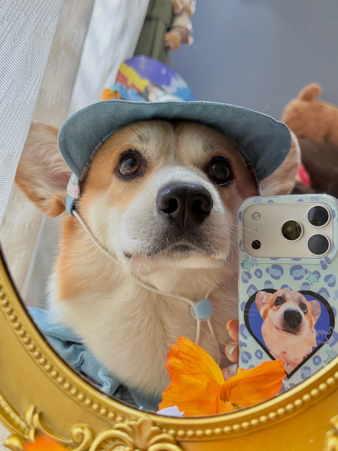 我发4️⃣ 今天的照片是小狗自己拍的🤳🏻