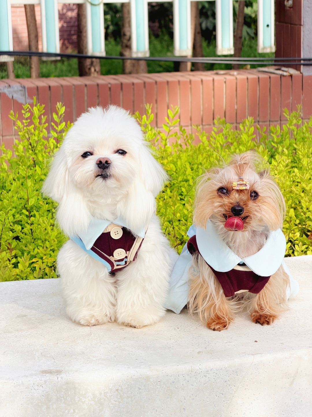 小朋友春游🌿😋🌸✨