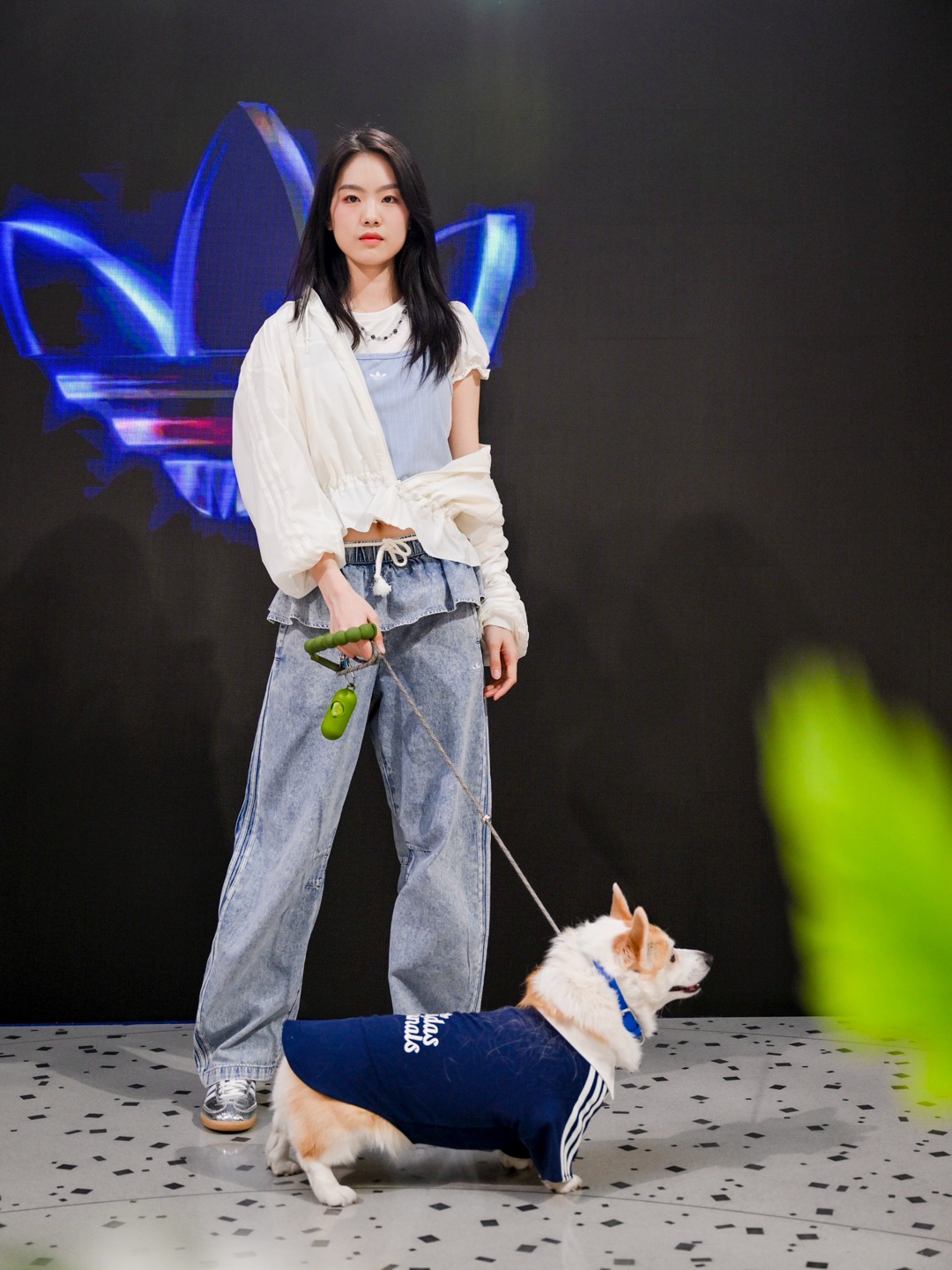 和小狗来一场春天的阿迪达斯adidas三叶草走秀