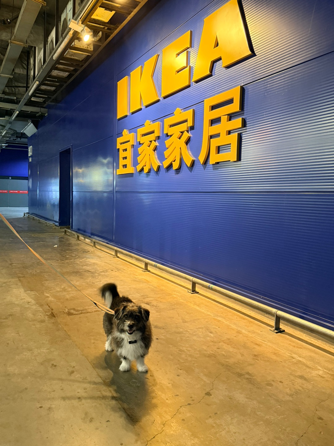 睡醒了就和妈妈去逛街