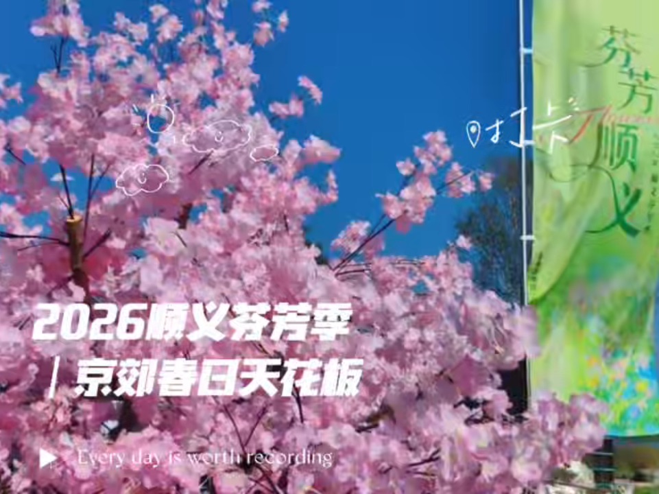 2026顺义芬芳季｜京郊春日天花板，一键解锁花海慢生活#北京