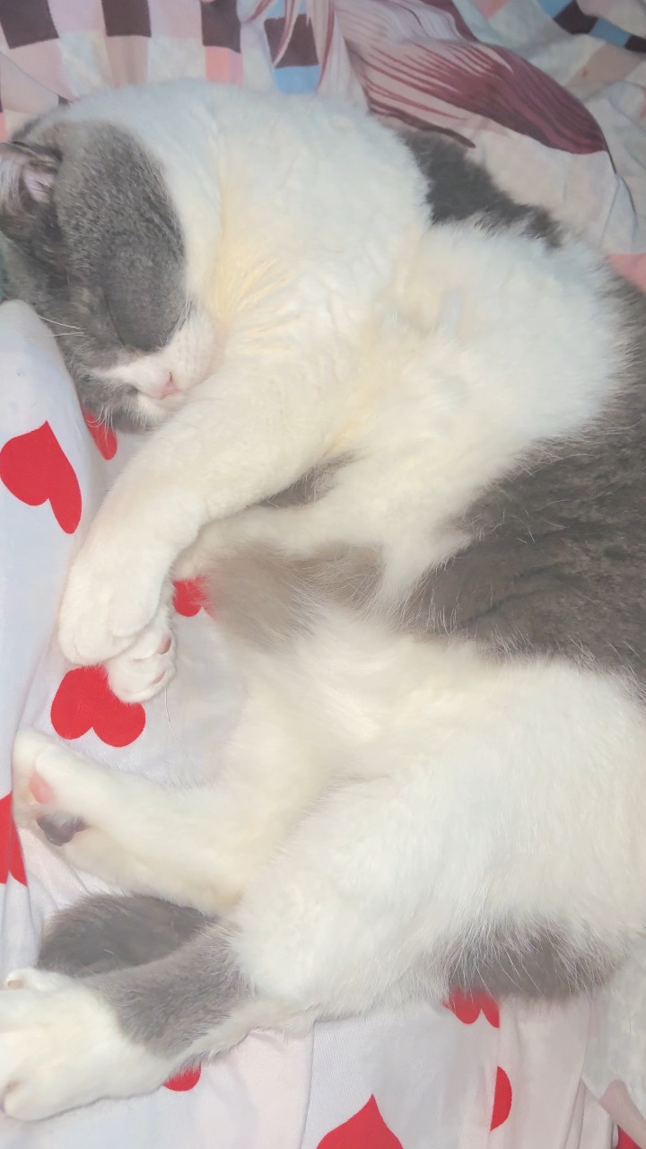 已睡到昏天暗地，勿扰