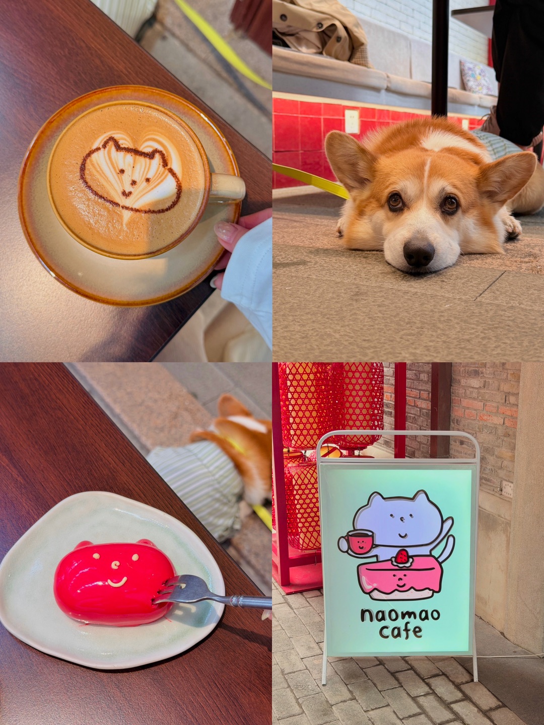 宠物友好咖啡店| naomao和小狗治愈的下午