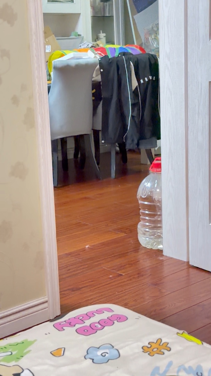 星冰乐酱在外面睡觉觉 不情不愿但是在妈妈呼唤下还是回来了