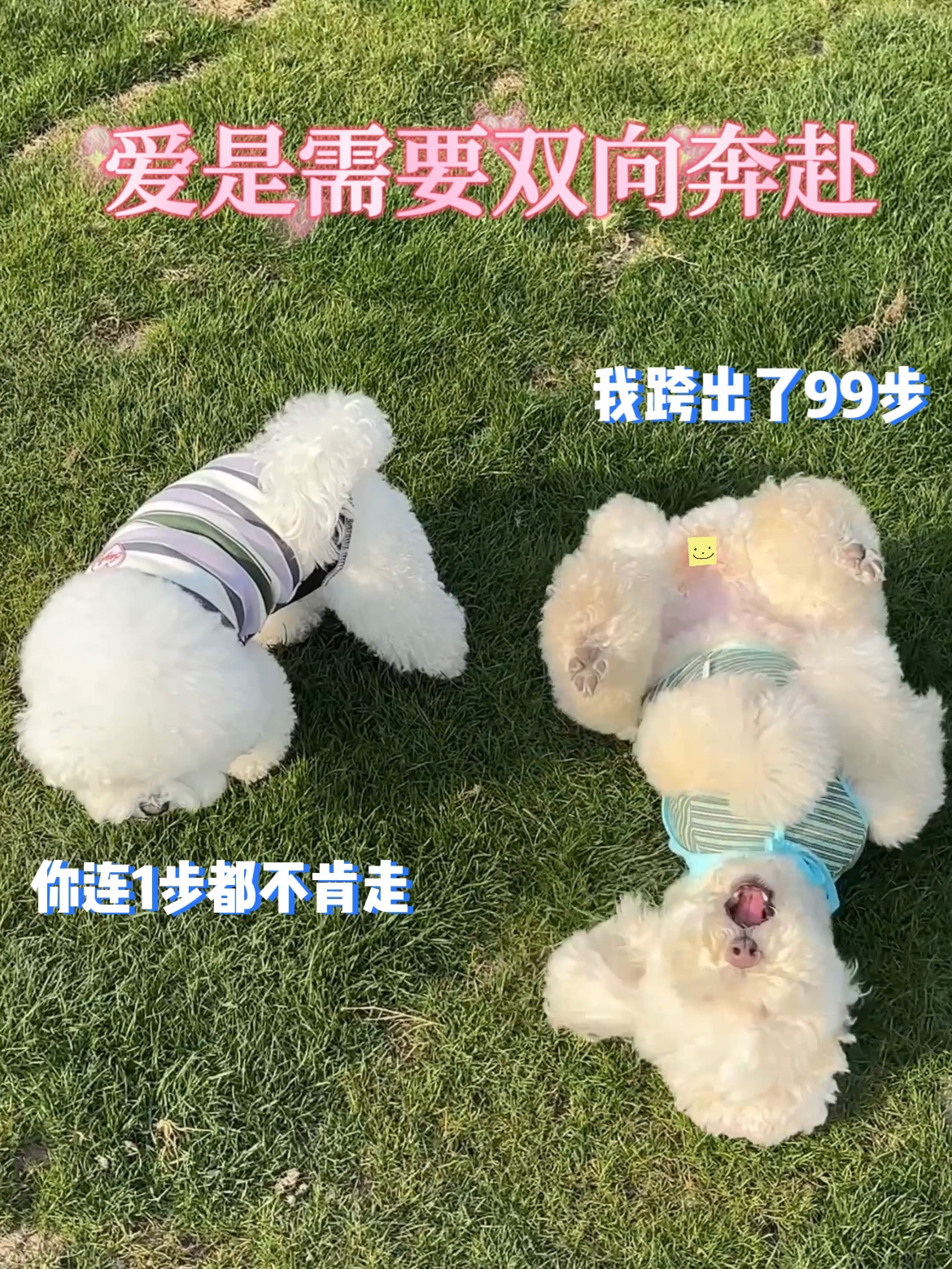 爱情是需要双向奔赴的