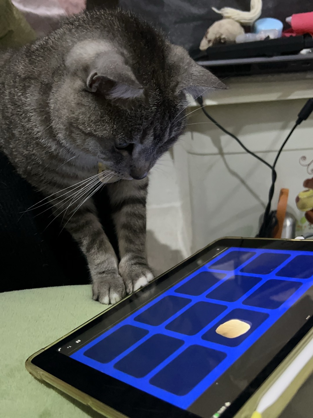 4.12 认真看电视的小猫一枚