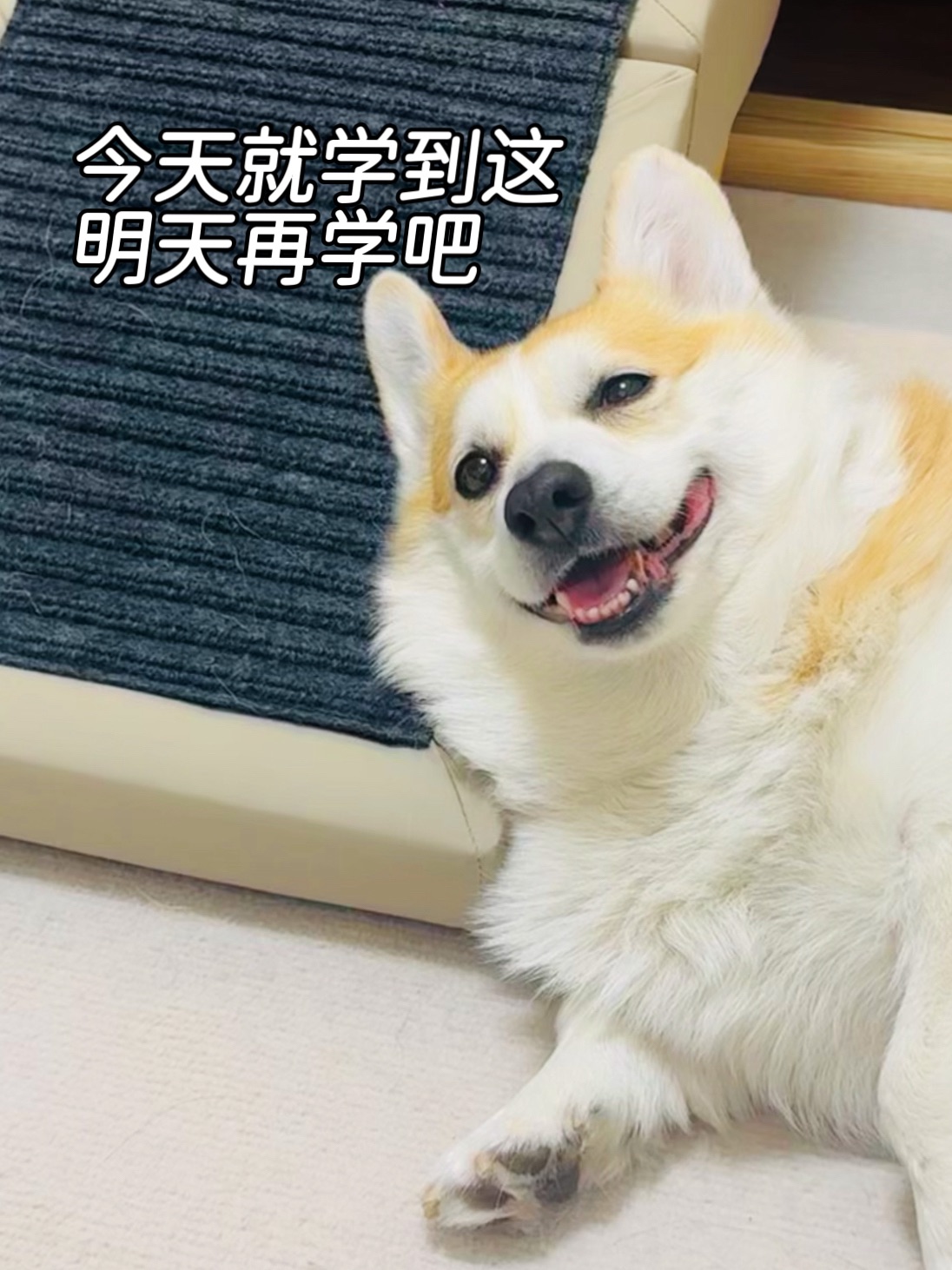 今天就学到这吧