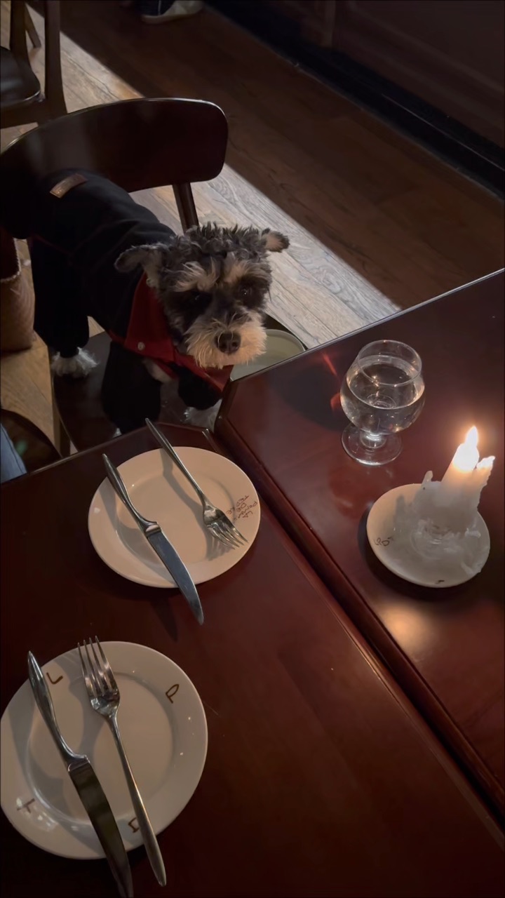 好朋友是疲惫生活的解药