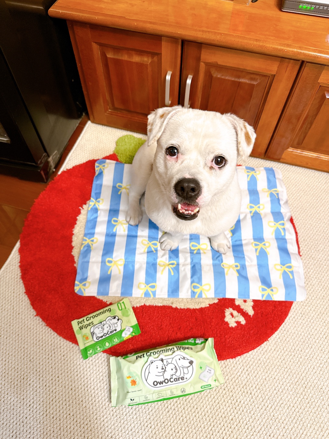 小狗向你推荐自己的爱用好物╭❤~