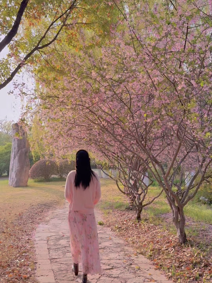 珍惜每一个春光～