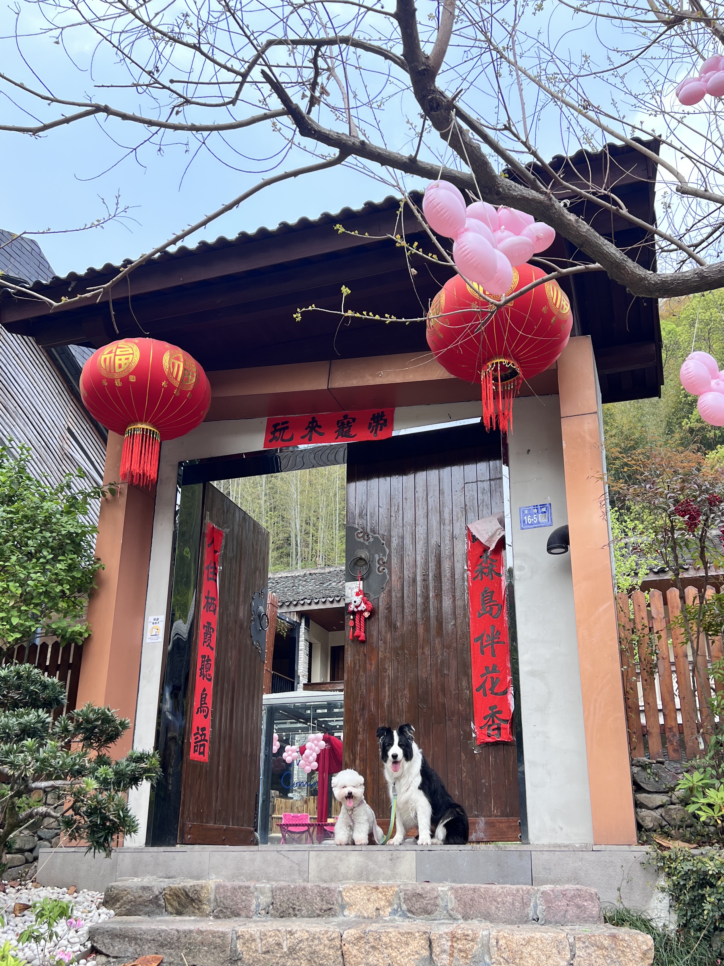 宁波奉化宠物友好民宿｜太适合人类和小狗放松了