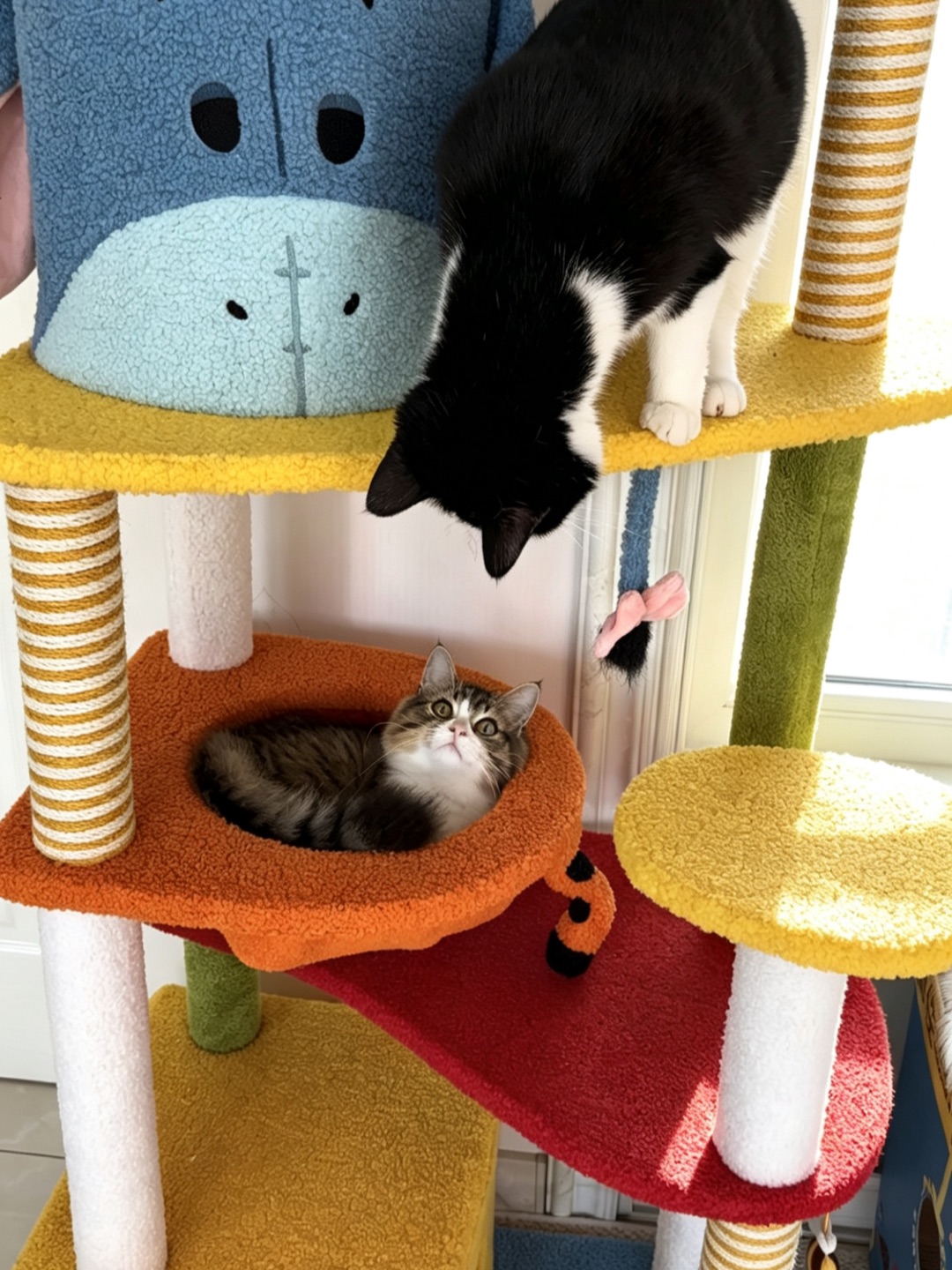 哈哈(❁´ω`❁)Hi~ o(*￣▽￣*)ブ*\(๑• ₃ •๑)