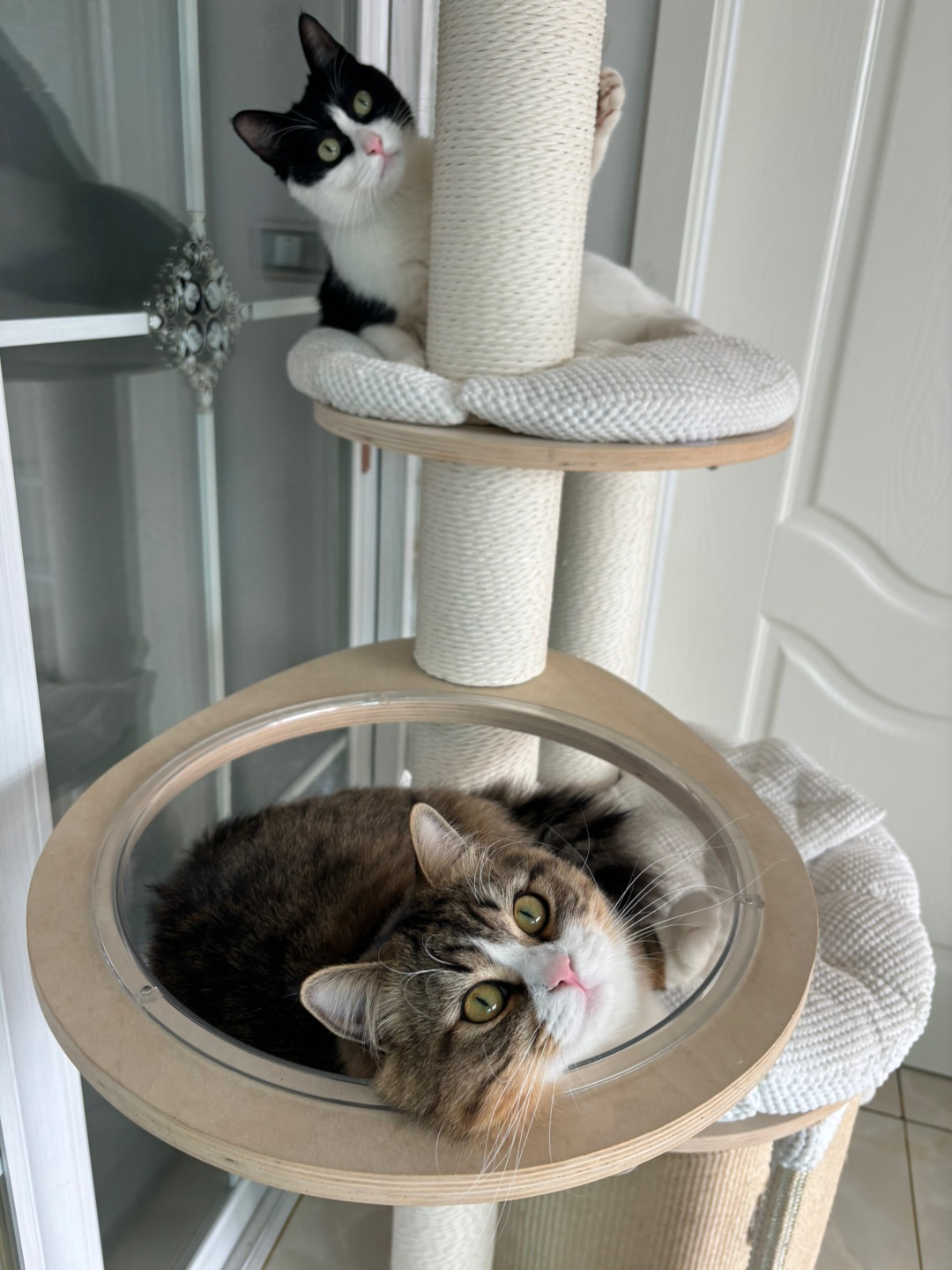 哈哈✌︎˶╹ꇴ╹˶✌︎(^_^)ノ( ´ ▽ ` )ノ(^_^)ノ