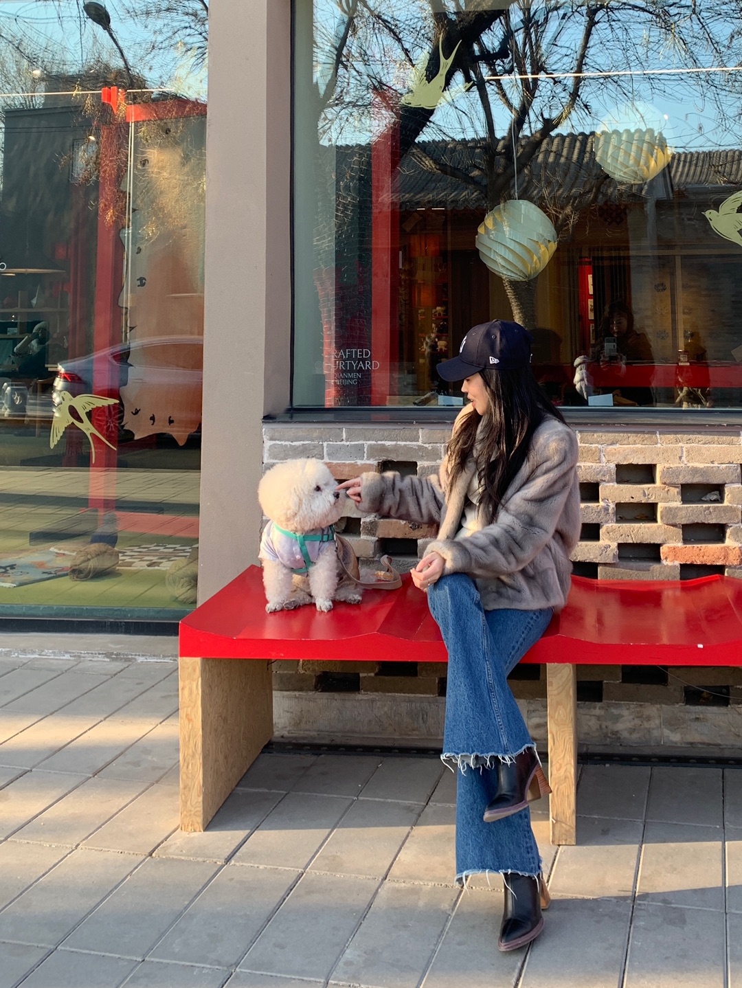 北京胡同｜和小狗citywalk🐕🦺