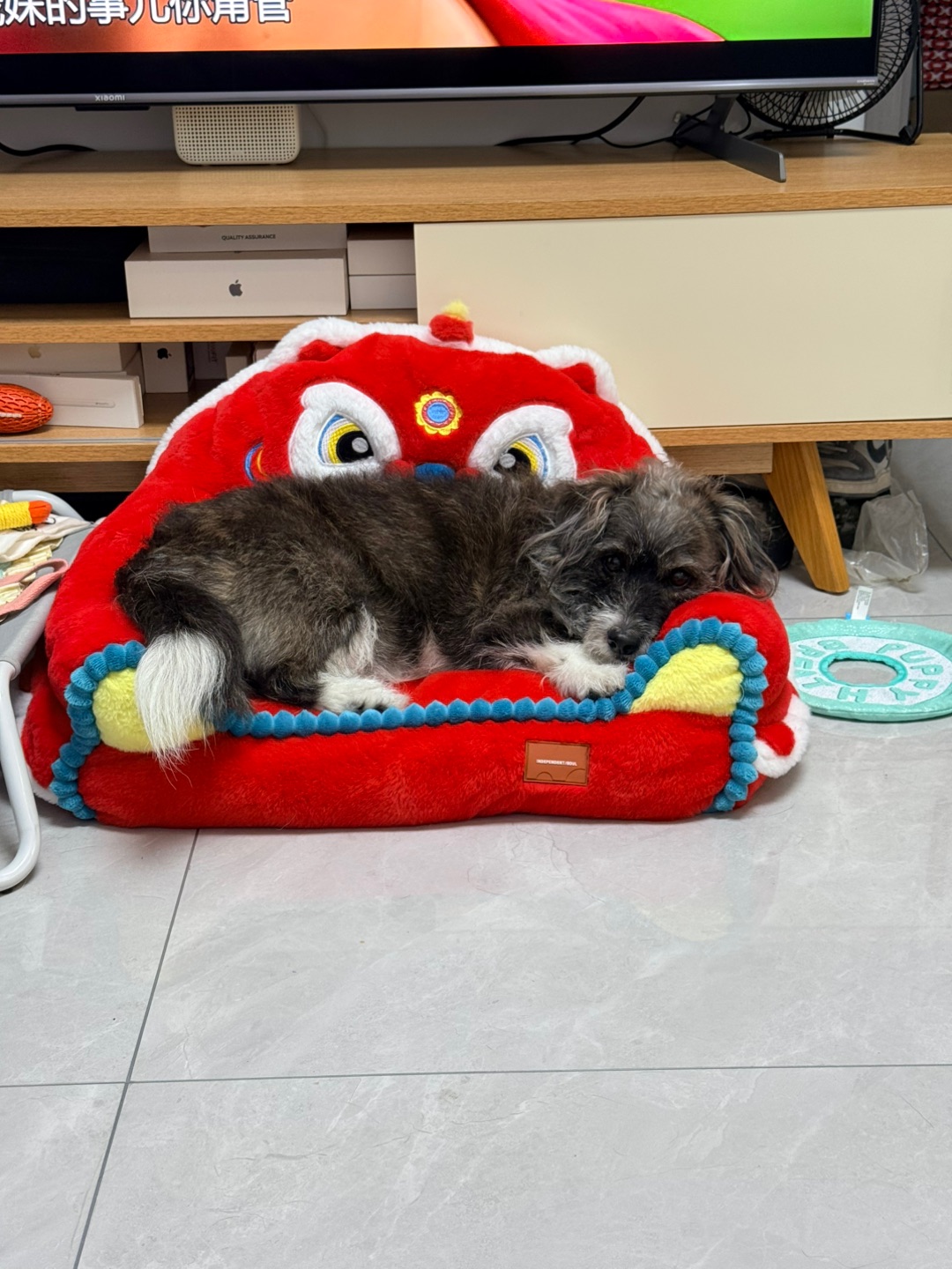 论小狗的100种睡姿