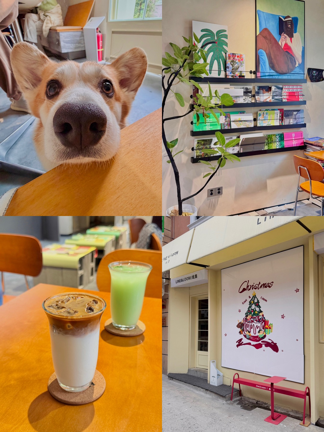 宠物友好咖啡店｜LINE&LOOM快乐下午